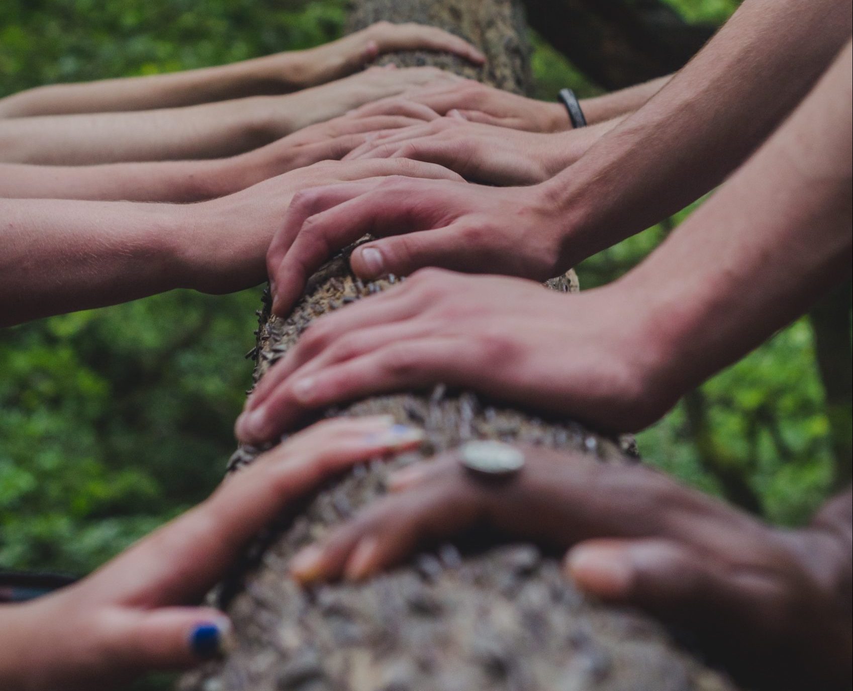 Soziale Nachhaltigkeit Visualisierung: Menschen haben gemeinsam ihre Hände auf einen Baumstamm gelegt und präsentieren sich als zusammengehörige Gruppe